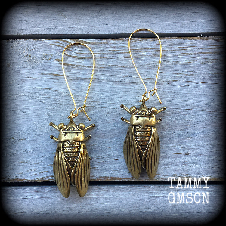 Cicada earrings 