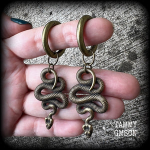 Snake ear hangers 