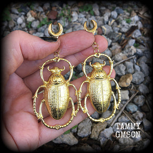 Scarab beetle ear hangers