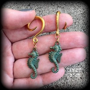 Seahorse ear weights