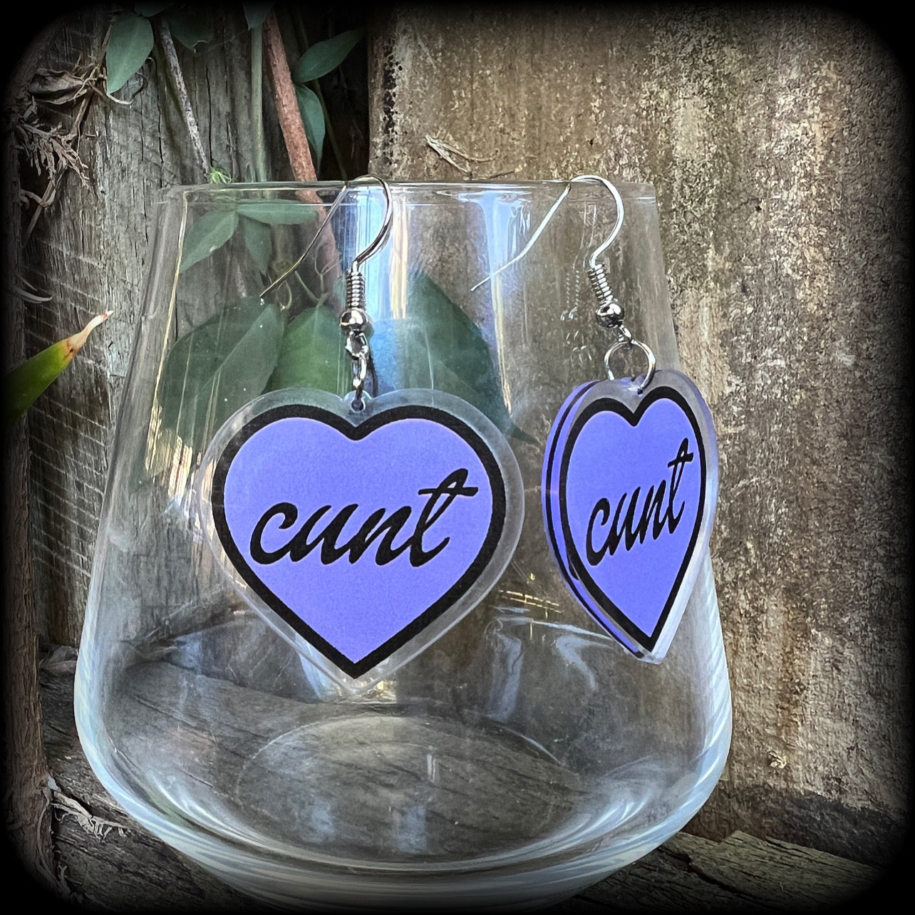 Swear word earrings-Cuss words