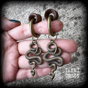 Snake ear hangers