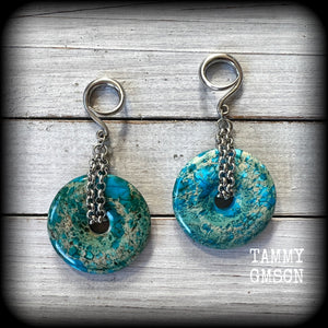 Ocean jasper ear weights