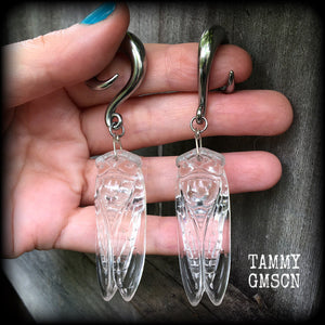 Plague earrings 