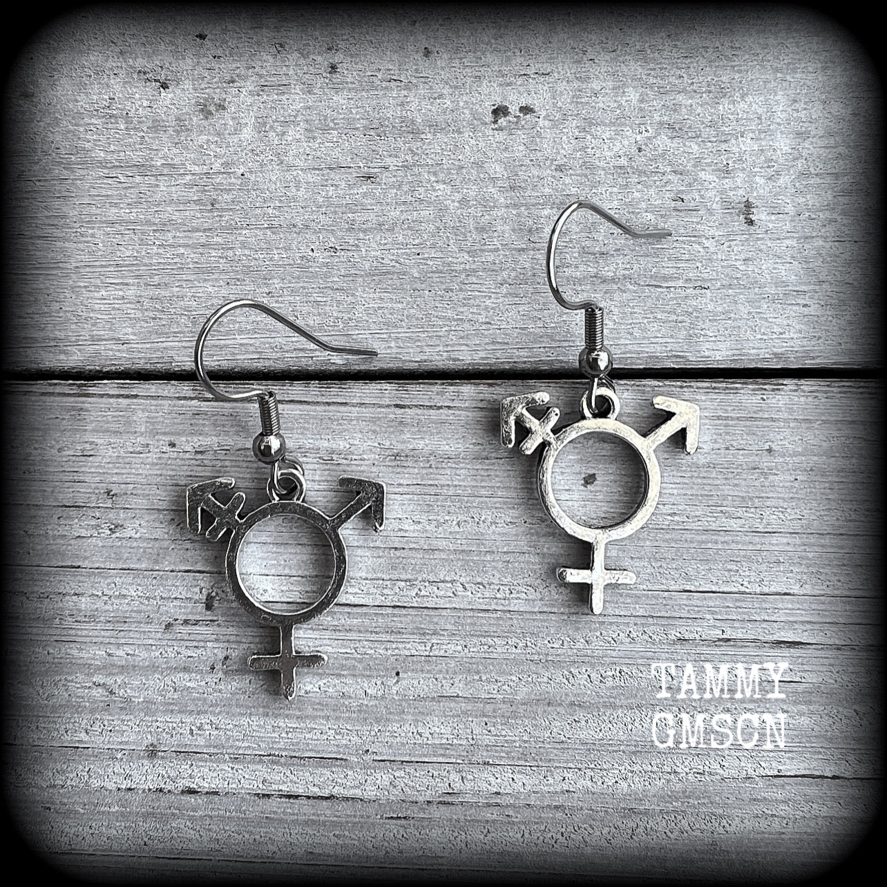 LGBTQ-Transgender symbol earrings