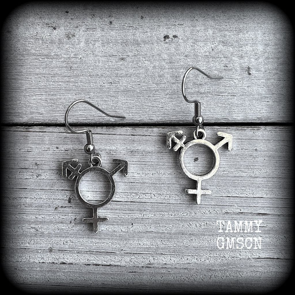 LGBTQ-Transgender symbol earrings