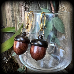 Fairycore earrings 