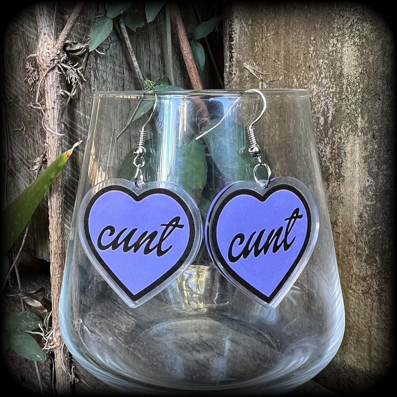 Swear word earrings-Cuss words