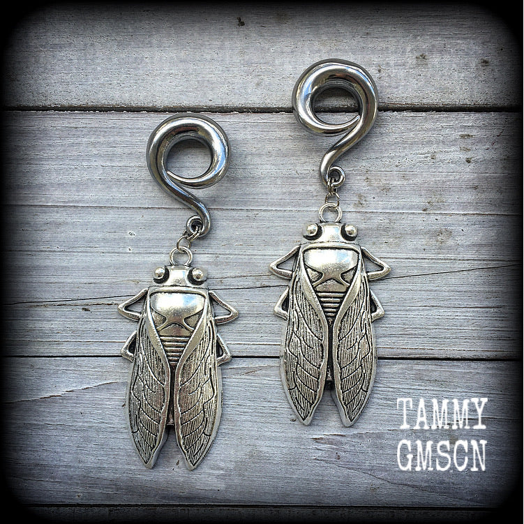 This pair gorgeous gauged earrings feature large antique silver cicadas, nice and dangly measuring just over 9cms from tip to tip, and weighing approx 26 grams each.

This pair has been made on 0 gauge (8mm) surgical steel full curl hooks, to be worn in stretched lobes.