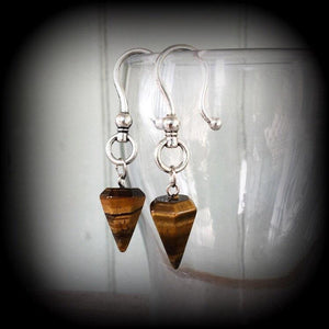 Tigers Eye earrings-Ear hangers