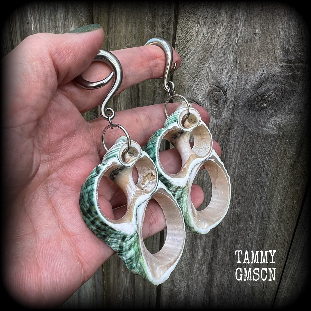 Aphrodite green shell slice gauged earrings
