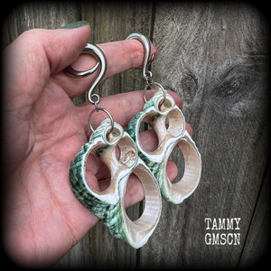 Aphrodite green shell slice gauged earrings