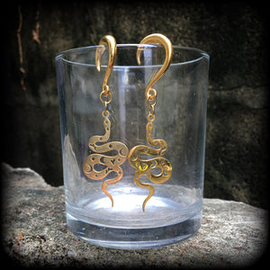 Celestial snake gauged earrings