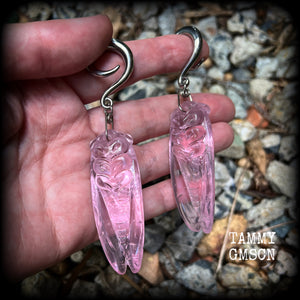 Cicada ear weights Quartz ear hangers Insect ear weights 2 gauge ear weights Body jewelry Gauged ears Gauged earrings Stretched ears Stretched lobes Curiosities Entomology jewelry Ear gauges 6g 2g 0g 00g 1/2” 9/16” 5/8” 3/4” 7/8” 1” 1.10” 1.18"