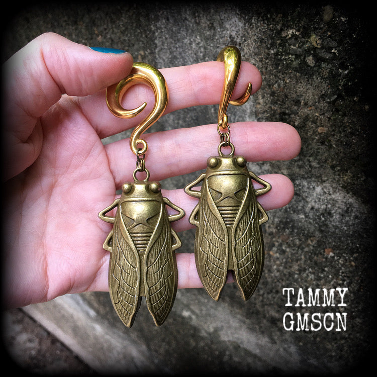 Bronze cicada earrings-Locust gauged earrings