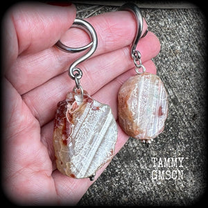 Raw agate slice gauged earrings