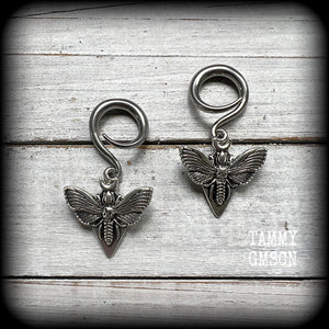 Deaths head moth gauged earrings