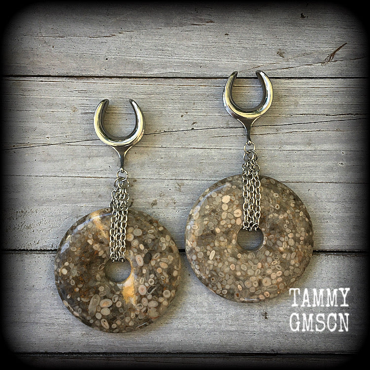 Crinoid fossil gauged earrings-Ear weights