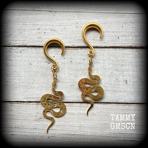 Celestial snake gauged earrings