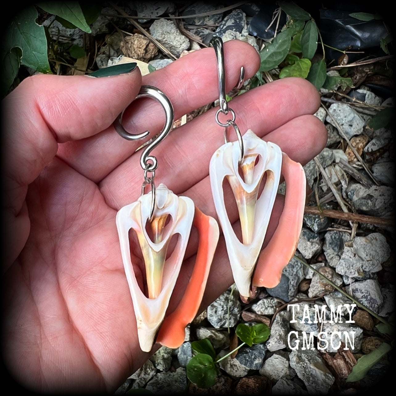 Pink conch shell slice gauged earrings