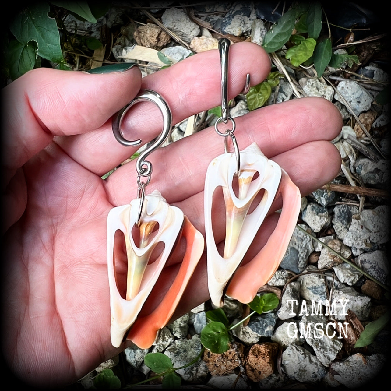 Pink conch shell slice gauged earrings