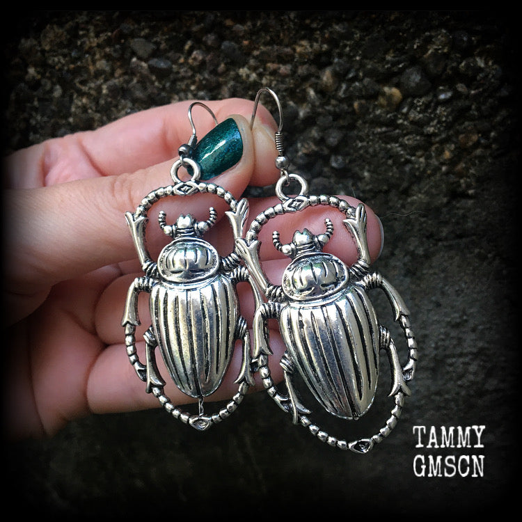 Scarab beetle earrings Insect earrings Beetles earrings Bugs jewelry Bugs earrings Arachnids Big bugs Body jewelry Pierced ears Ear gauges Earrings for stretched ears Stretched lobes Gauged earrings Gauged ears