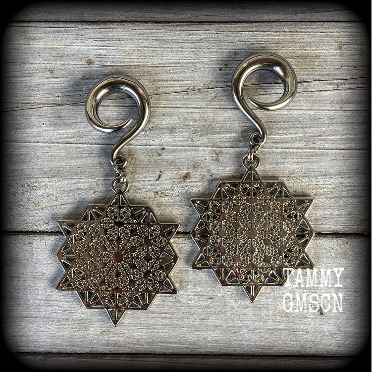 Metatrons cube gauged earrings