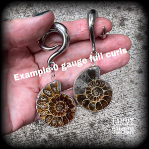 Ammonite earrings Ammonite ear hangers Ammonite ear weights Ammonite jewelry Ammonite jewellery Fossil earrings Fossil jewelry Fossil ear weights Gauged earrings Nautilus jewelry Nautilus earrings 6mm 8mm 10mm 12mm 14mm 16mm 19mm 22mm 25mm 28mm 30mm 