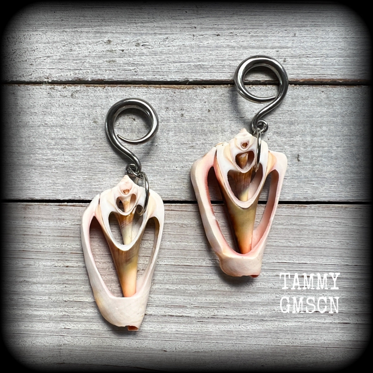 Pink conch shell slice gauged earrings