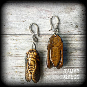 Tigers eye cicada earrings-Ear hangers