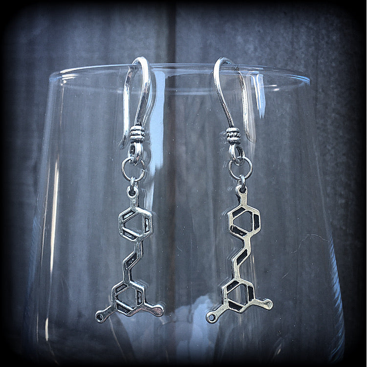 Red wine molecule earrings-Resveratrol earrings