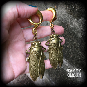 Bronze cicada earrings-Locust gauged earrings