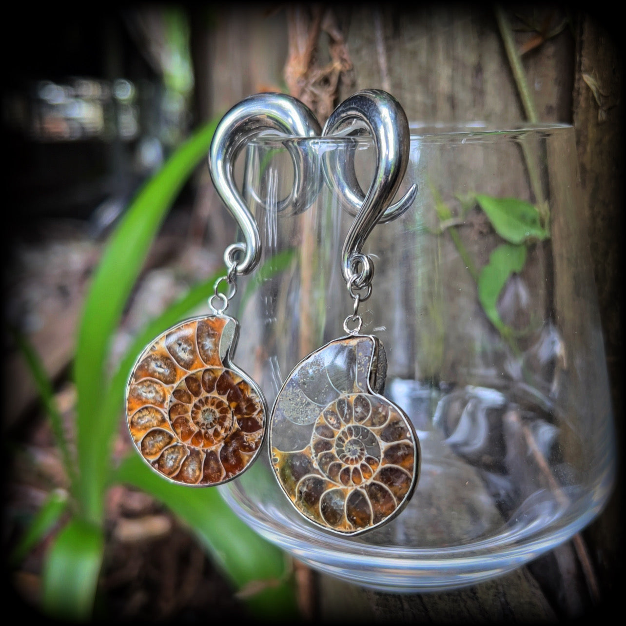 Ammonite earrings Ammonite ear hangers Ammonite ear weights Ammonite jewelry Ammonite jewellery Fossil earrings Fossil jewelry Fossil ear weights Gauged earrings Nautilus jewelry Nautilus earrings 6mm 8mm 10mm 12mm 14mm 16mm 19mm 22mm 25mm 28mm 30mm 