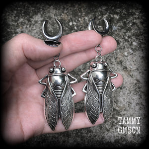 Silver cicada gauged earrings-Insect ear hangers