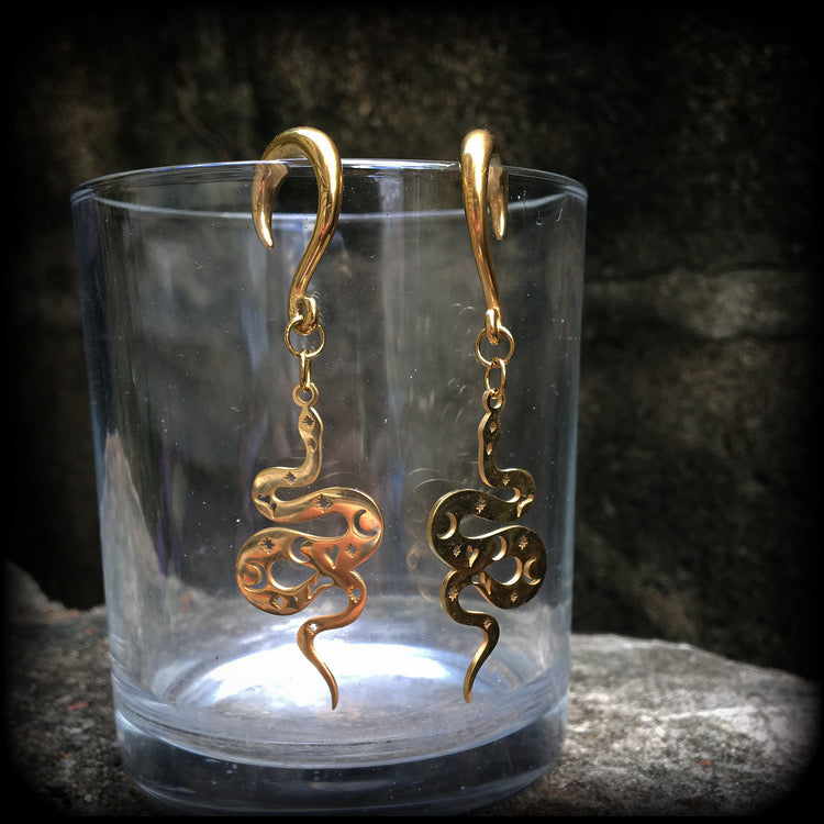 Celestial snake gauged earrings