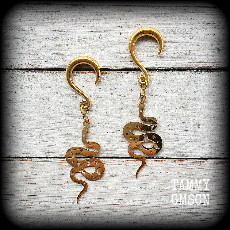 Celestial snake gauged earrings