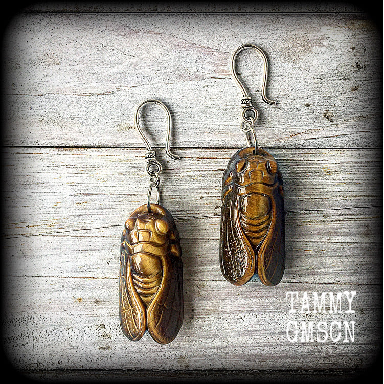 Tigers eye cicada earrings-Ear hangers