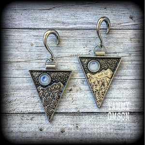 Forest moon gauged earrings-Fir tree ear hangers