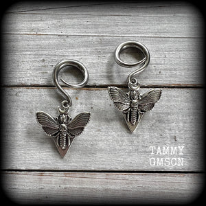 Deaths head moth gauged earrings