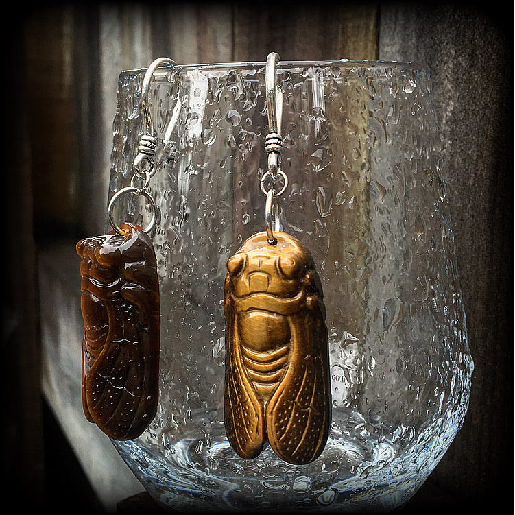 Tigers eye cicada earrings-Ear hangers