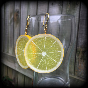 Lemon earrings-Fruit slice earrings