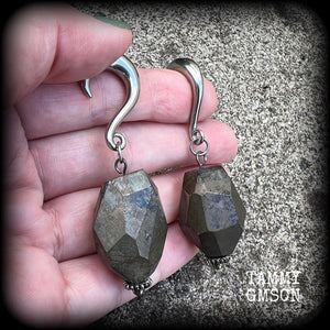 Pyrite ear weights 2 gauge ear weights 6mm earrings Gemstone earrings Ear hangers Ear gauges Ear jewelry Stretched ears Stretched lobes Gauged ears Gauged earrings Tribal ear weights Moss goth 4mm 6mm 8mm 10mm 12mm 14mm 16mm 19mm 22mm 25mm 28mm 30mm 