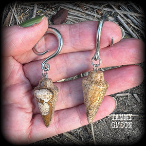 Picture jasper gauged earrings