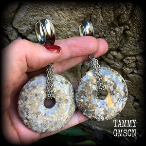 Crinoid fossil gauged earrings-Ear weights