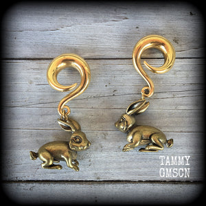 Rabbit gauged earrings-Brass ear weights