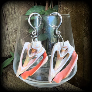Pink conch shell slice gauged earrings