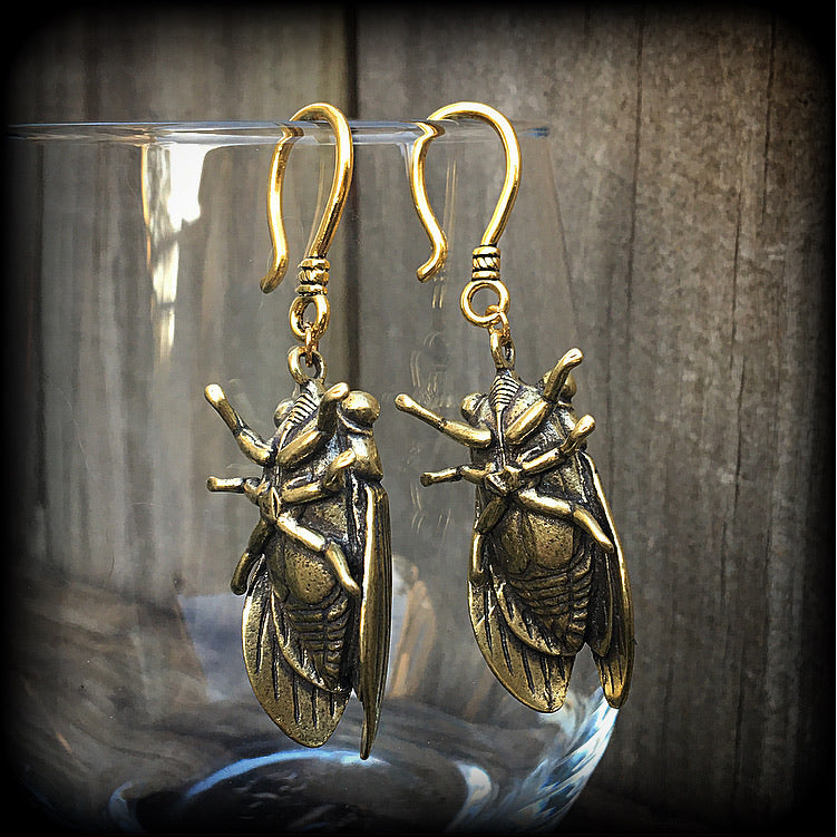 Locust earrings Cicada earrings Bugs earrings Locust earrings Insect earrings Pierced ears Ear hangers Stretched lobes Gauged earrings Moss goth Cottagecore Entomology Curiosities