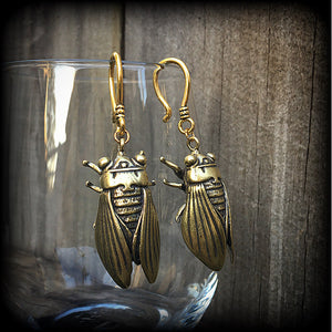 Locust earrings Cicada earrings Bugs earrings Locust earrings Insect earrings Pierced ears Ear hangers Stretched lobes Gauged earrings Moss goth Cottagecore Entomology Curiosities