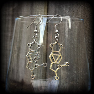 MDMA earrings-Molecule earrings