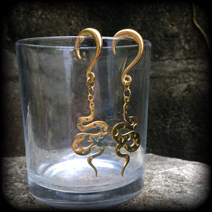 Celestial snake gauged earrings